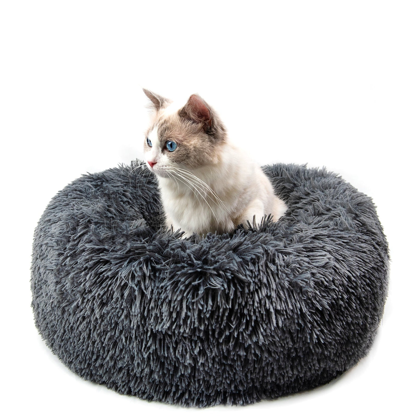 CozyPaw Haven™ Luxe Small Pet Sofa Bed